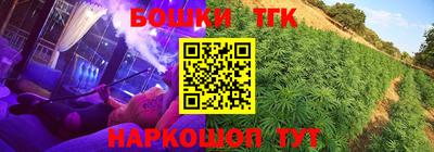 дмт Заводоуковск