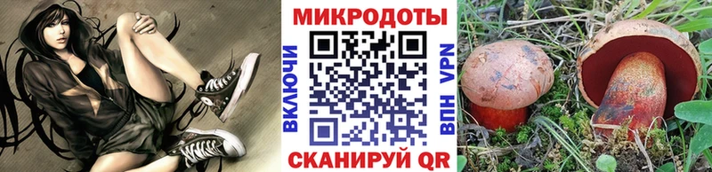 Галлюциногенные грибы Magic Shrooms  дарнет шоп  Нерюнгри 
